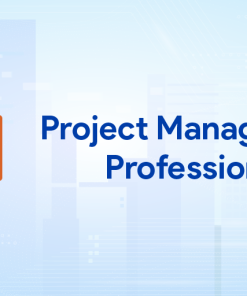 Project Management Professional