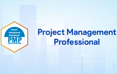 Project Management Professional
