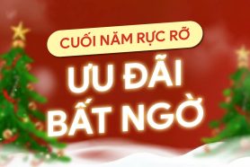 CUỐI NĂM RỰC RỠ – ƯU ĐÃI BẤT NGỜ!